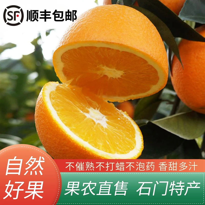 【顺丰包邮】高山纽荷尔脐橙新鲜橙子水果产地直发当季热卖低热量