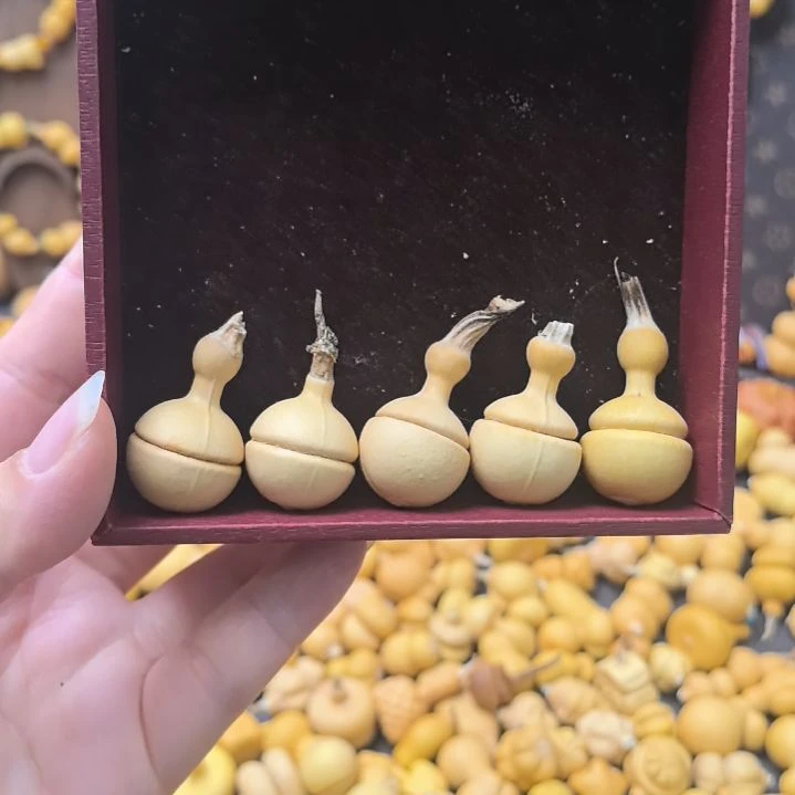 汉堡钱袋，汉堡钱袋