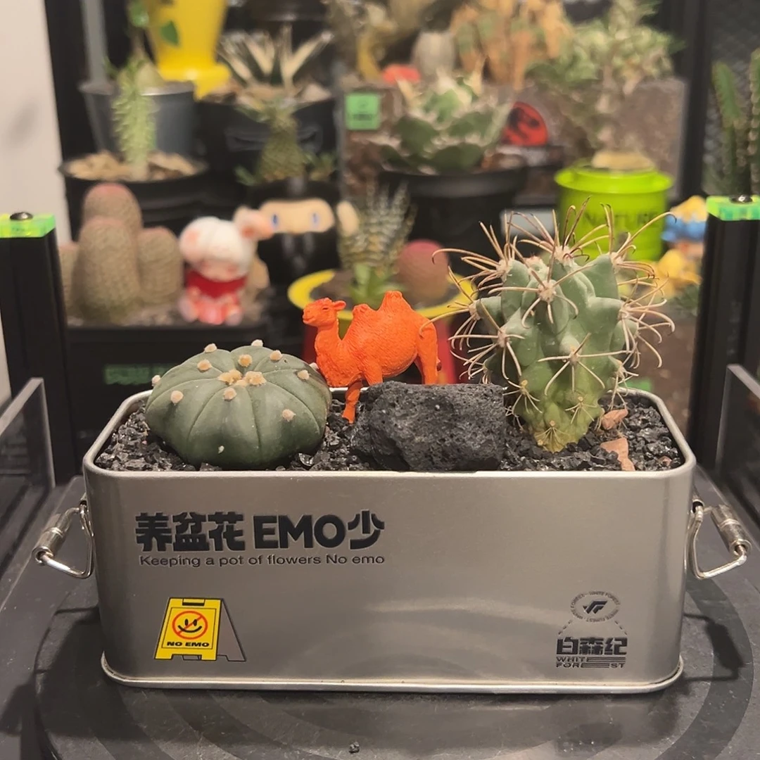 工业风一物一拍禁止焦虑