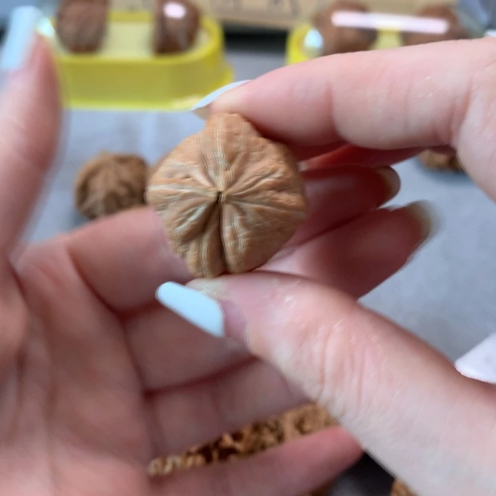 齐***齐文玩核桃吊坠异形单只