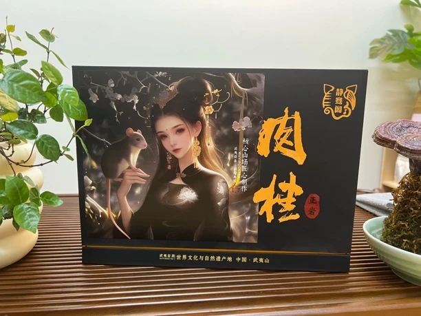 静骞阁武夷山正岩肉桂