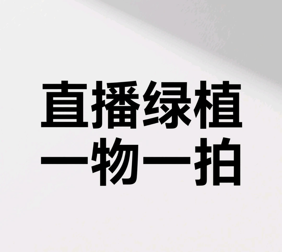 直播绿植，一物一拍。