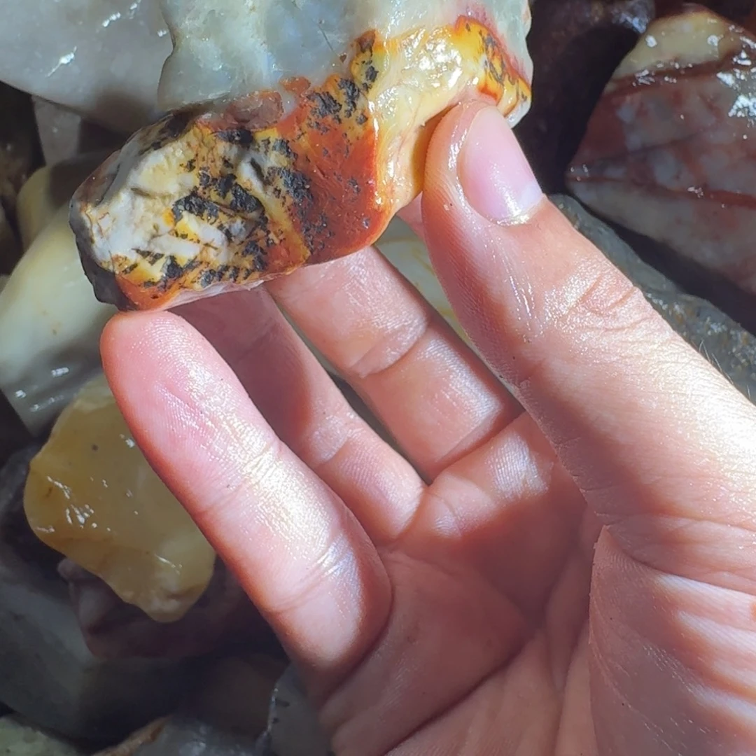 云***哥寿山石8888888888888