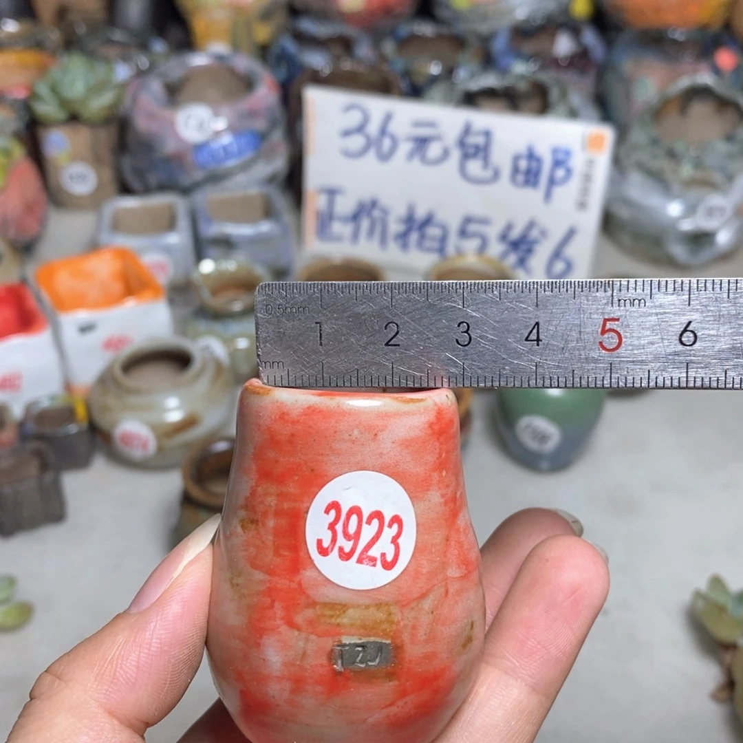 拍5送一个小礼物