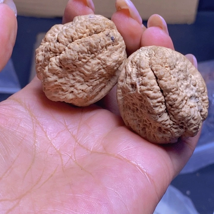 把件文玩核桃65-41m m