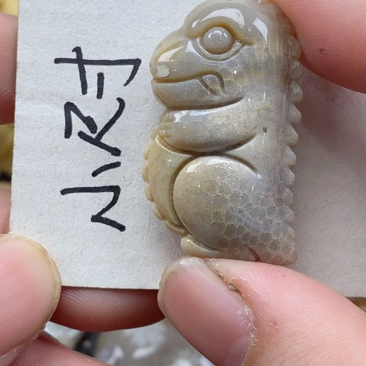 颈饰未镶嵌硅化珊瑚（珊瑚玉）