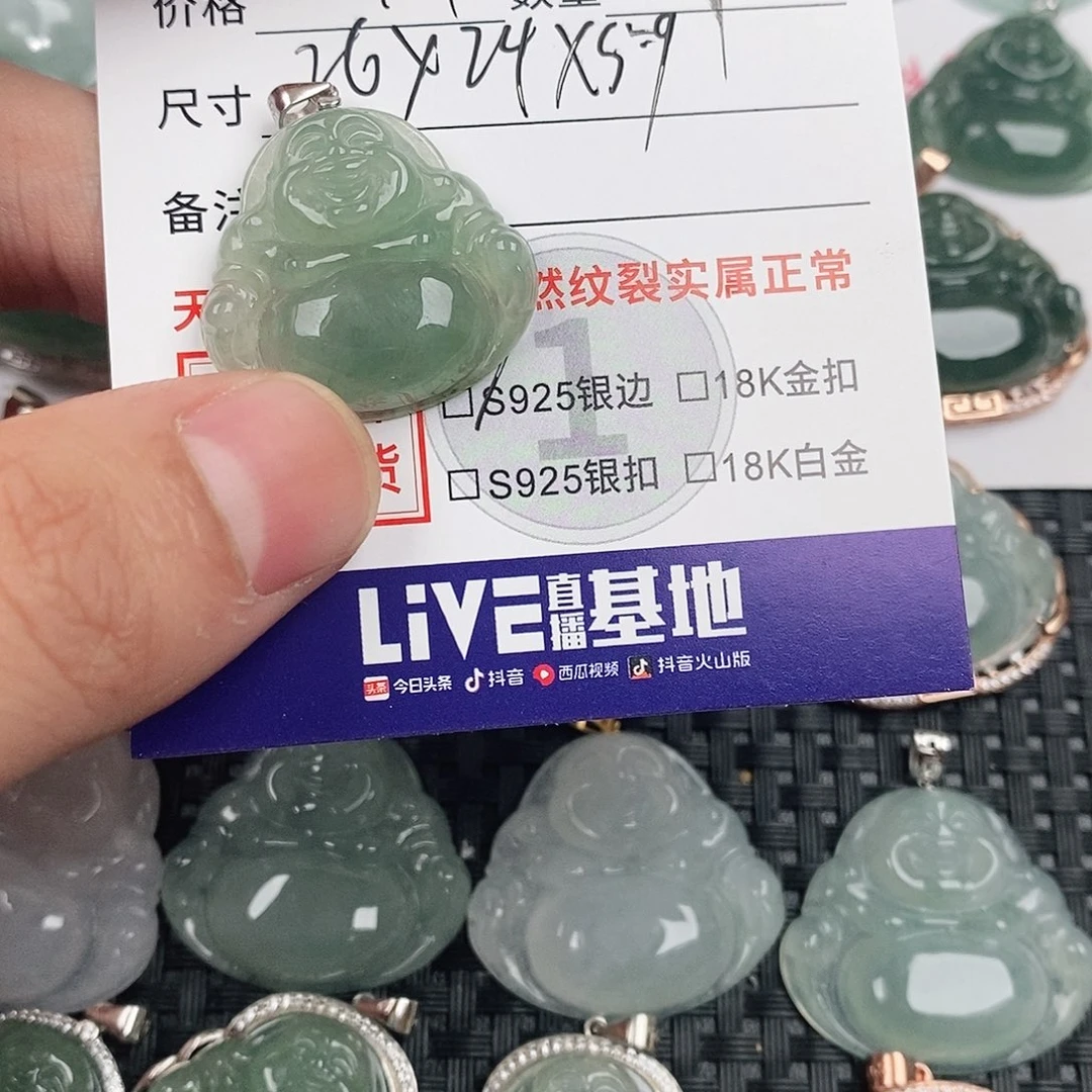 翡翠银S925镶嵌颈饰