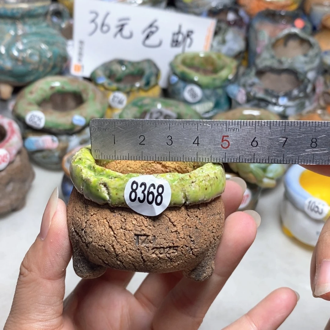 拍3送一个小礼物