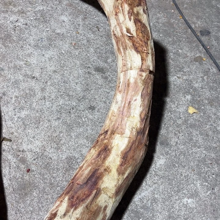 把件黄花梨/降香黄檀