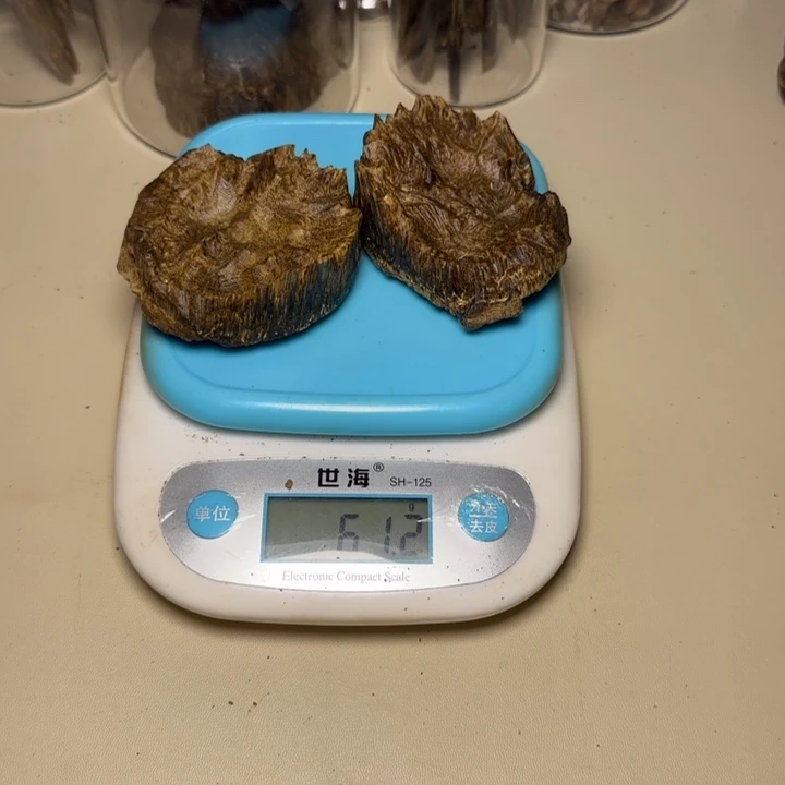 风车木（黑檀木）阿*野生棋楠老包头61克