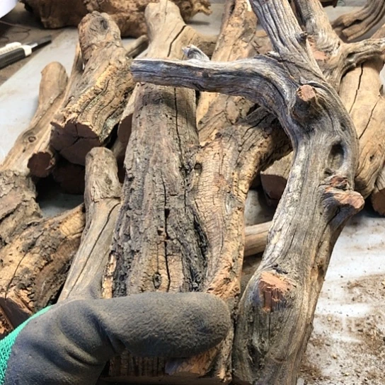 大果紫檀（缅甸花梨）随*