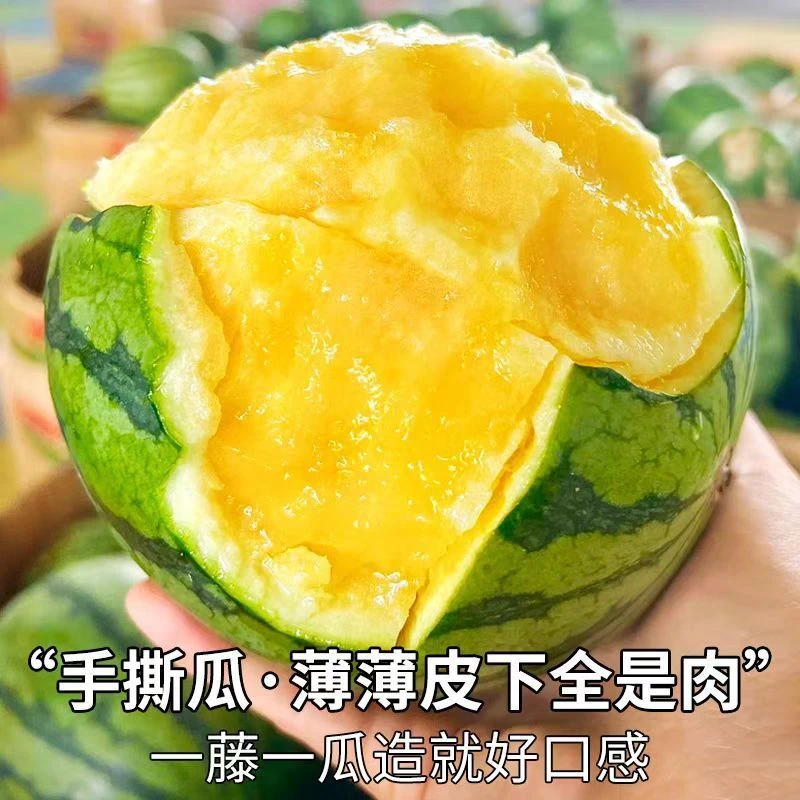 【产地鲜采】薄皮手掰西瓜黄瓤特小凤西瓜脆甜小西瓜一整箱包邮便宜