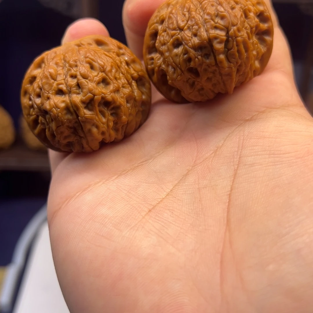 血麒麟43精对 有修