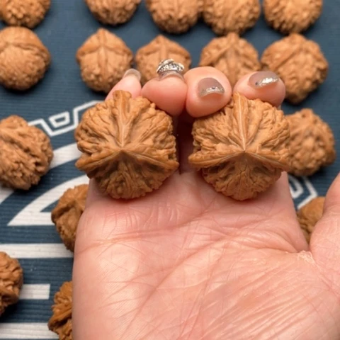 橄榄核手串/手链文山三棱御龙粗筋36