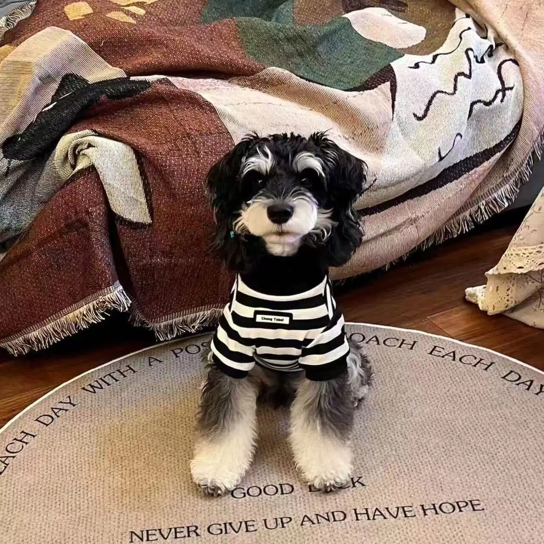 宠物衣服小香风高领条纹夏季宠物服装雪纳瑞泰迪狗狗猫咪宠物衣服