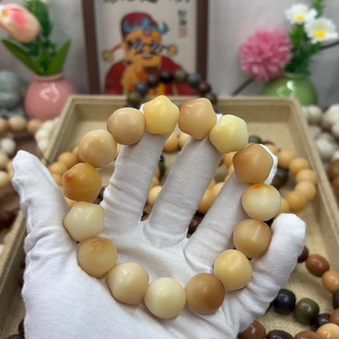 吊坠菩提根/象牙果18干磨瑕疵落地果星星517