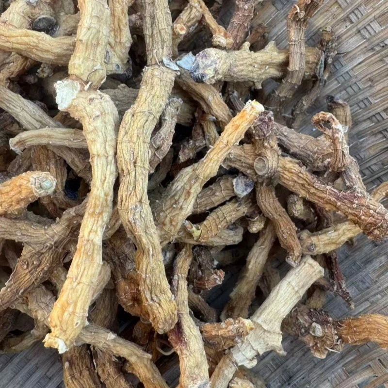 高山玉竹可炖汤煮水全家适用