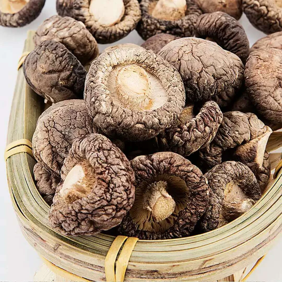 【半斤】香菇干精选干香菇肉厚无硫小鸡炖蘑菇美味菌菇营养食材