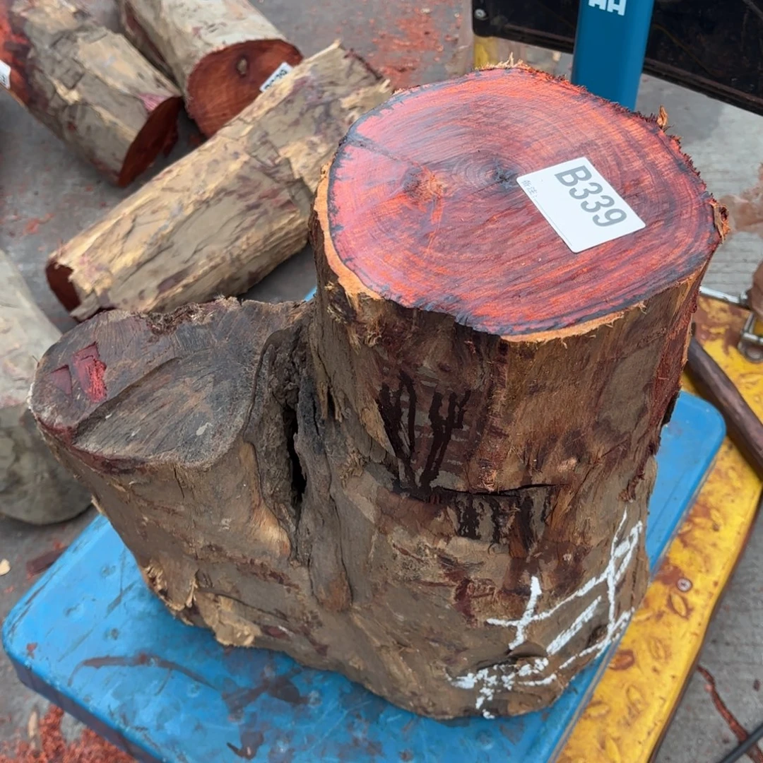 宁***爷一物一拍血檀编码339紫砂