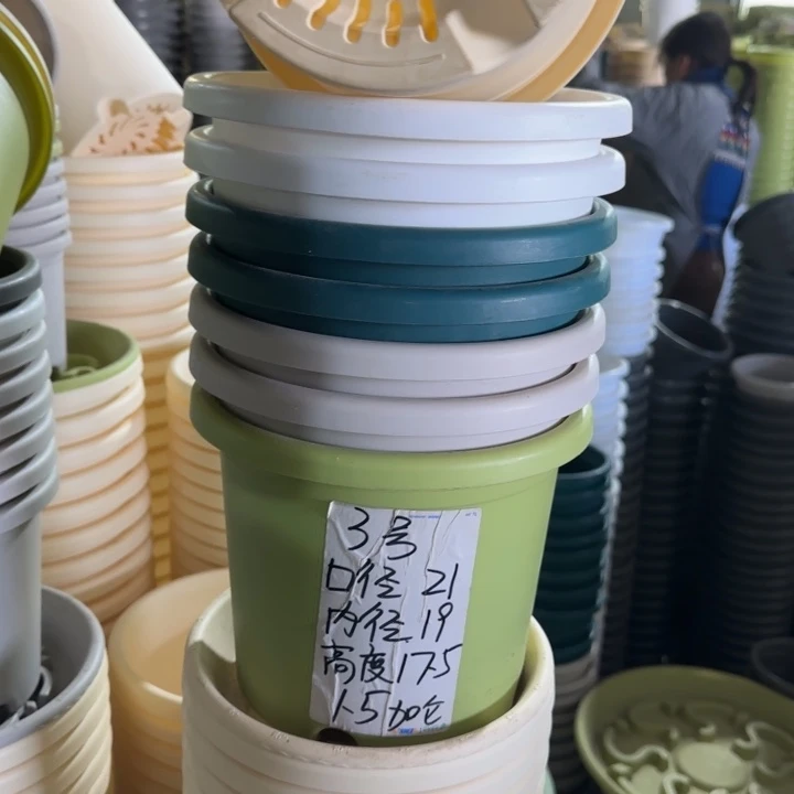 微瑕3#口径21无托果绿10个