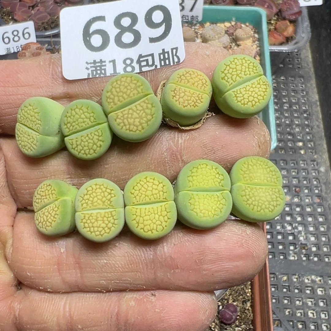 【闪购商品】 689。