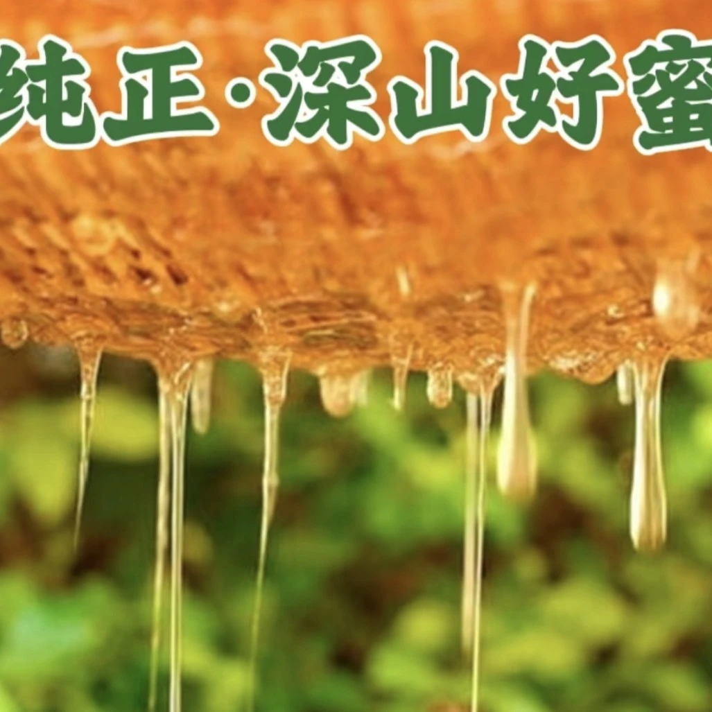 深山野生农家百花蜜（5斤）采自深山森林多种植物花源蜜蜂酿造原蜜
