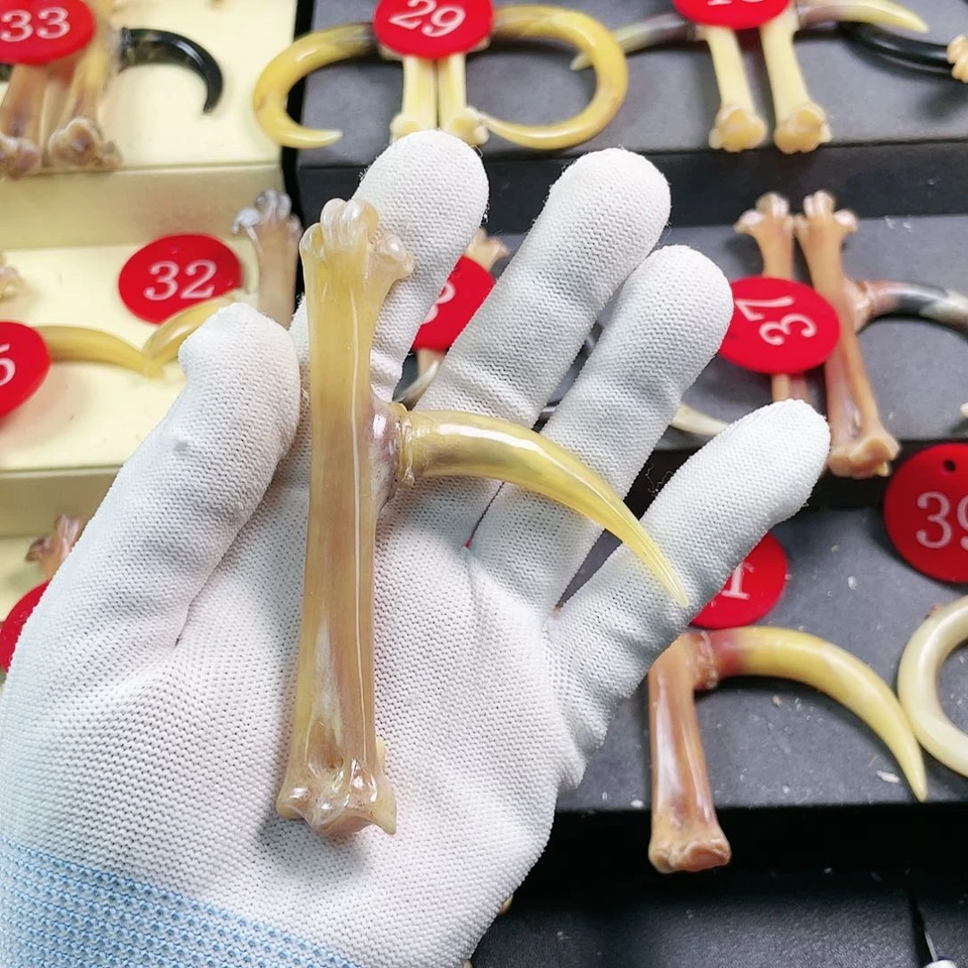 鸡骨（鸡脚）把件手把件