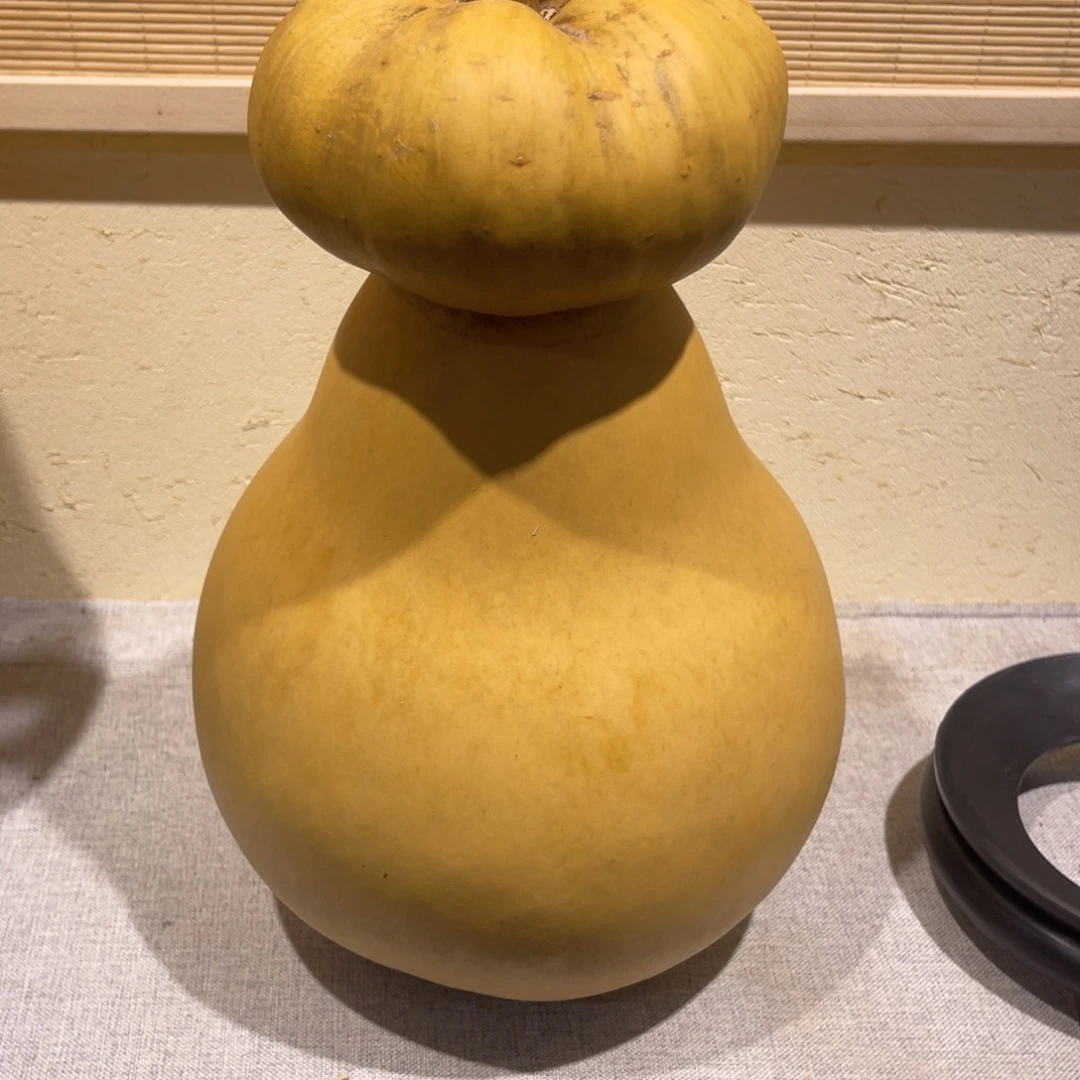 昊****仿木不包邮不保龙头