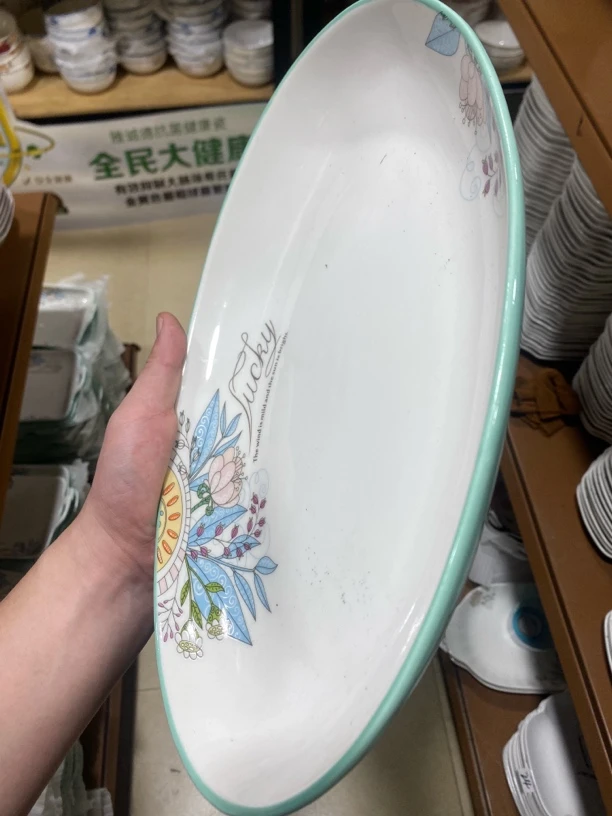 25号家用创意北欧风格欧式加厚耐用椭圆大号蒸鱼盘2