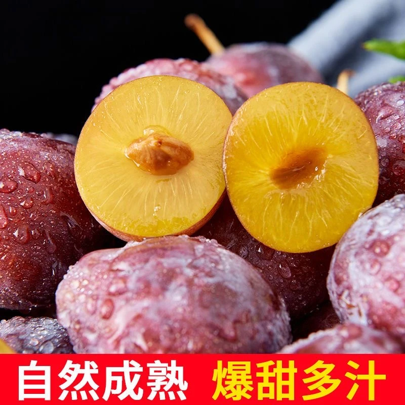 【顺丰航空】3斤新疆法兰西西梅当季新鲜水果阿克苏发货