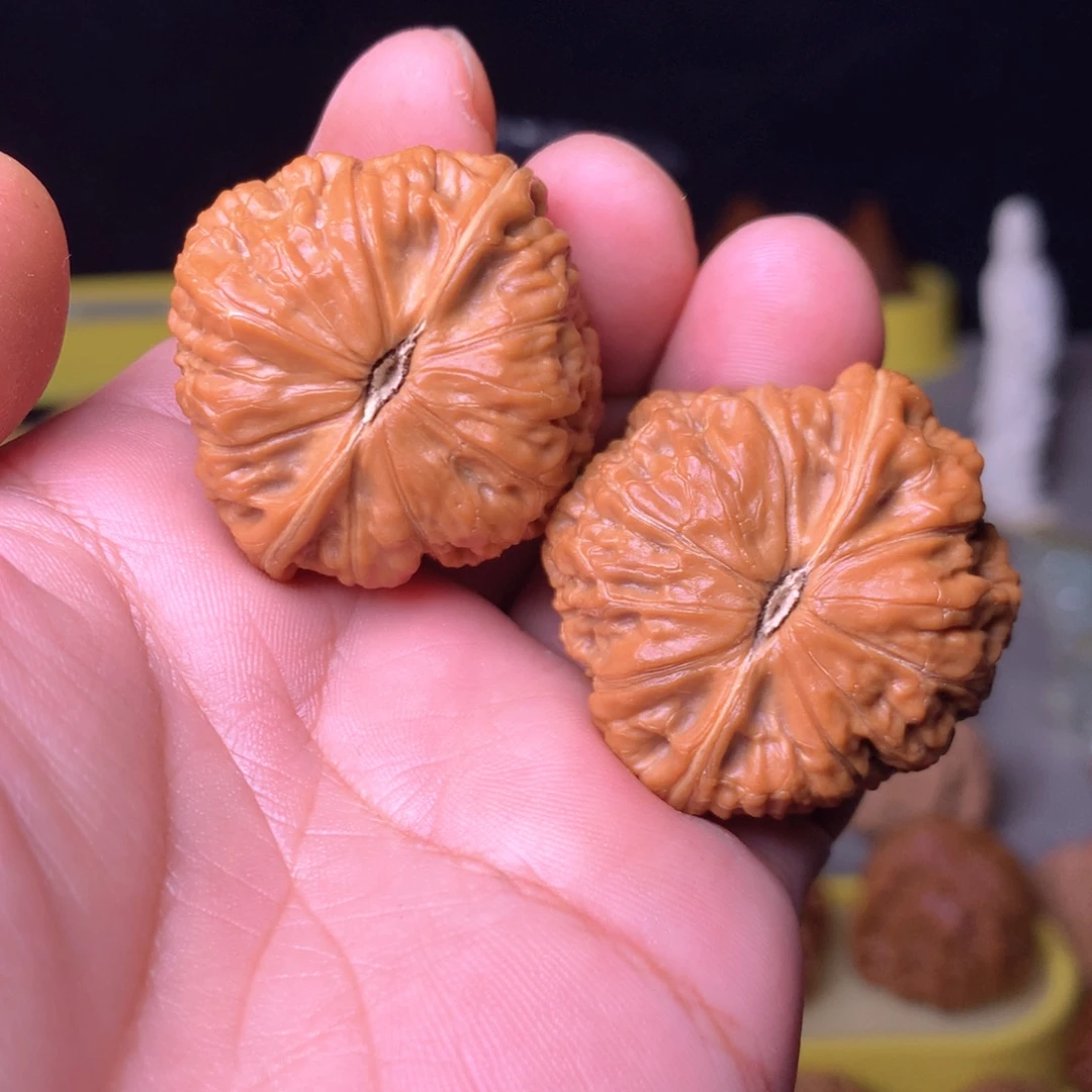 大叶紫檀（黑酸枝木类）黑马