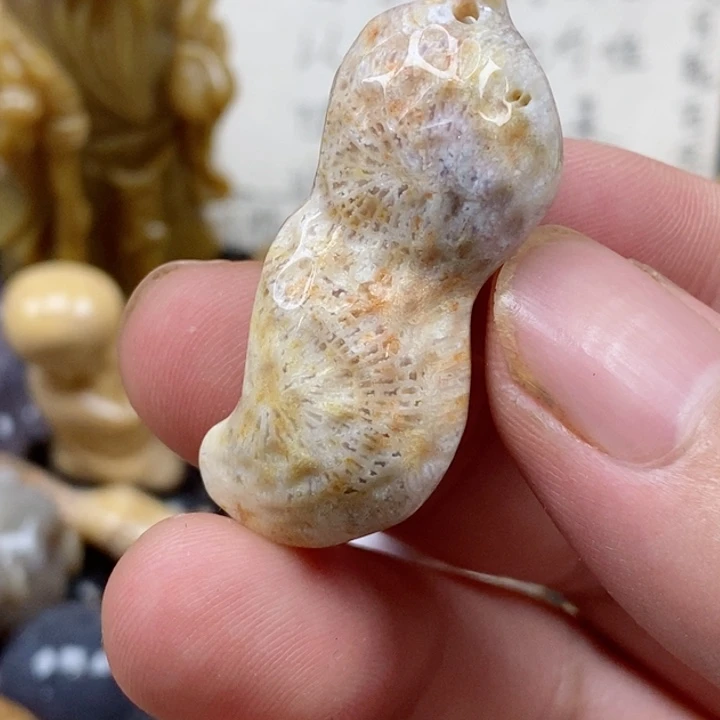 颈饰未镶嵌硅化珊瑚（珊瑚玉）有瑕
