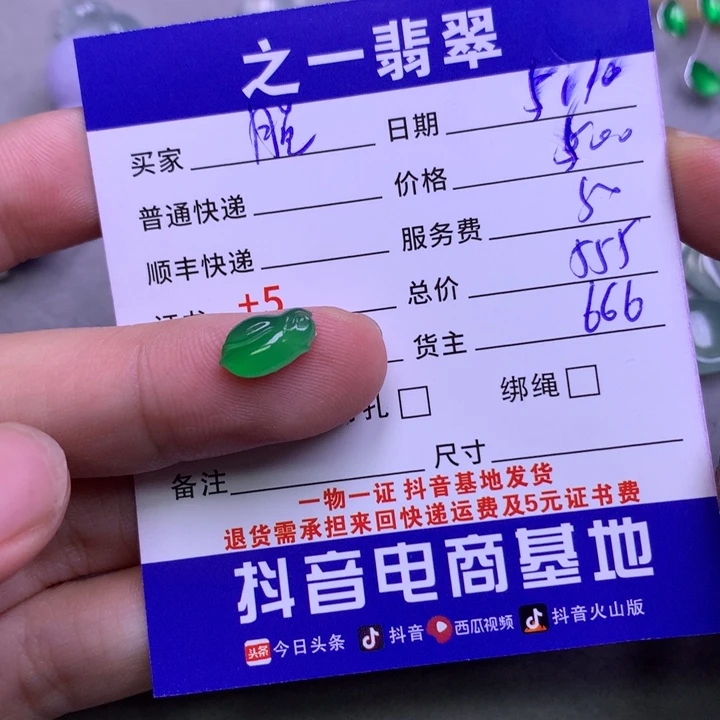 翡翠未镶嵌颈饰脱****长