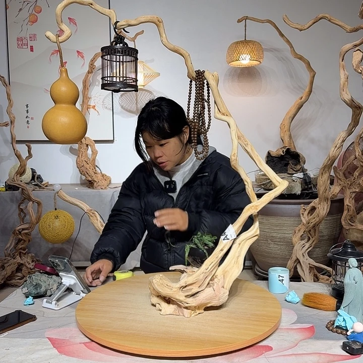 演***莲杜鹃根艺术中心根