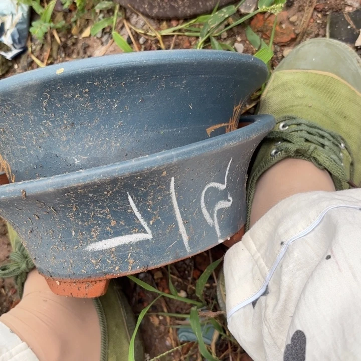 紫砂花盆紫砂的颜色