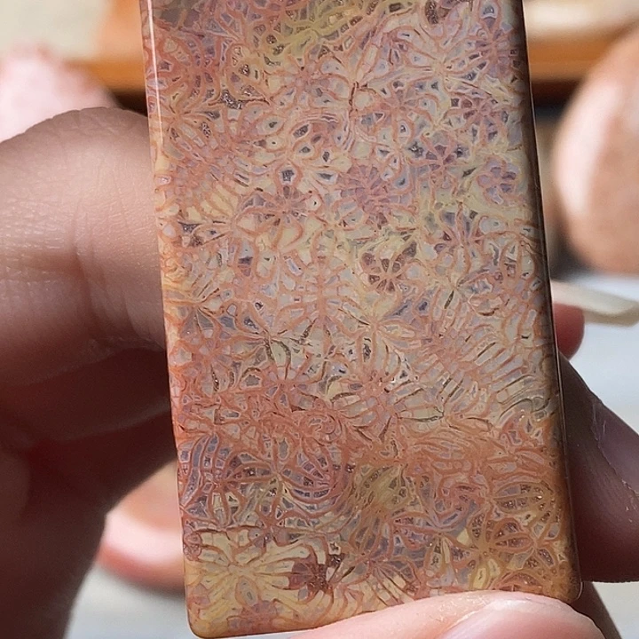 用***5硅化玉未镶嵌颈饰