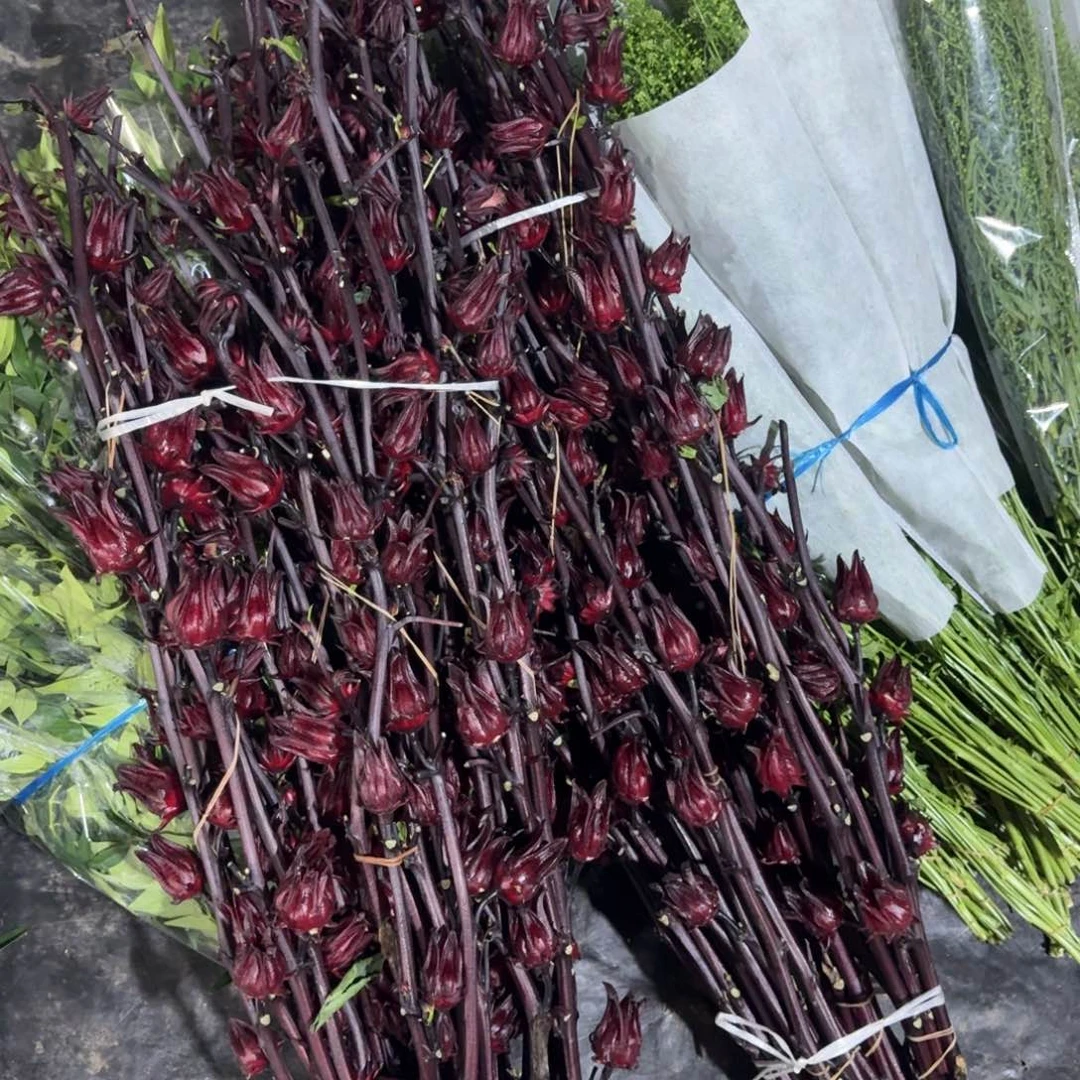 洛神花2扎包邮秒杀