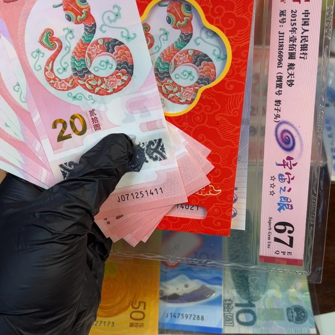 塑料蛇钞标十.99999999999