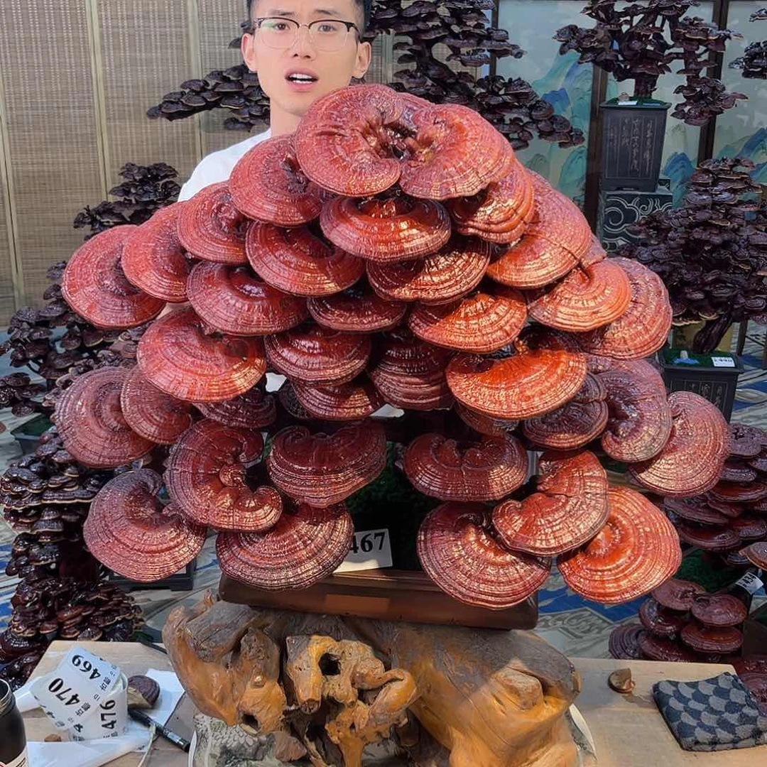 无花朵88888888888888888888