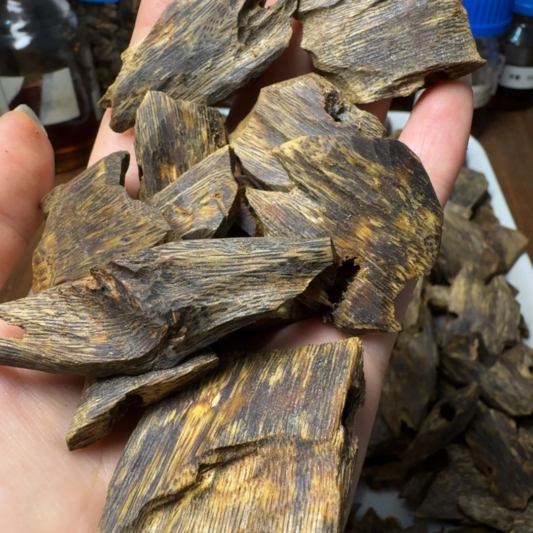 沉香沉香碎屑绿奇楠流油王高油块料50g