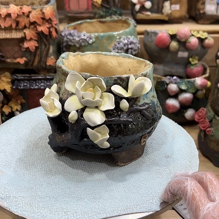 陶然多肉花盆百搭