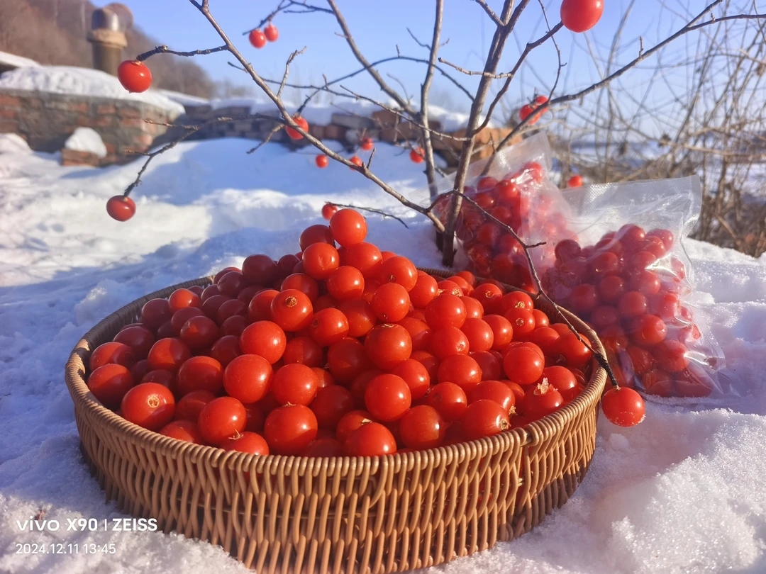 【长白山红菇茑】东北特产灯笼果红菇茑 冻果