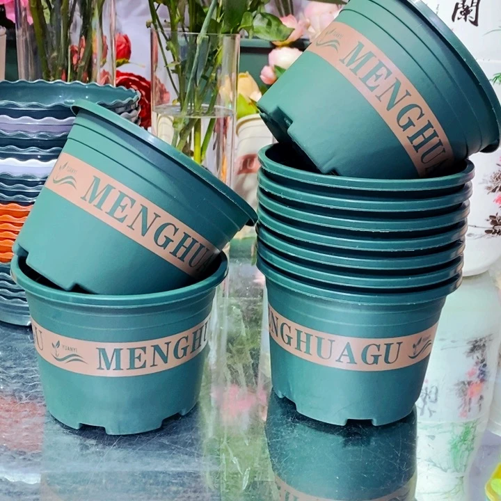 新款矮150加仑盆10个带托