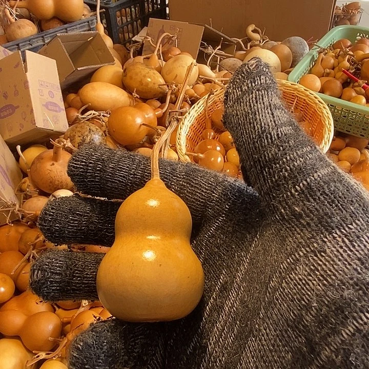 玉*不退不换运输途中不保龙头完美主义者勿拍