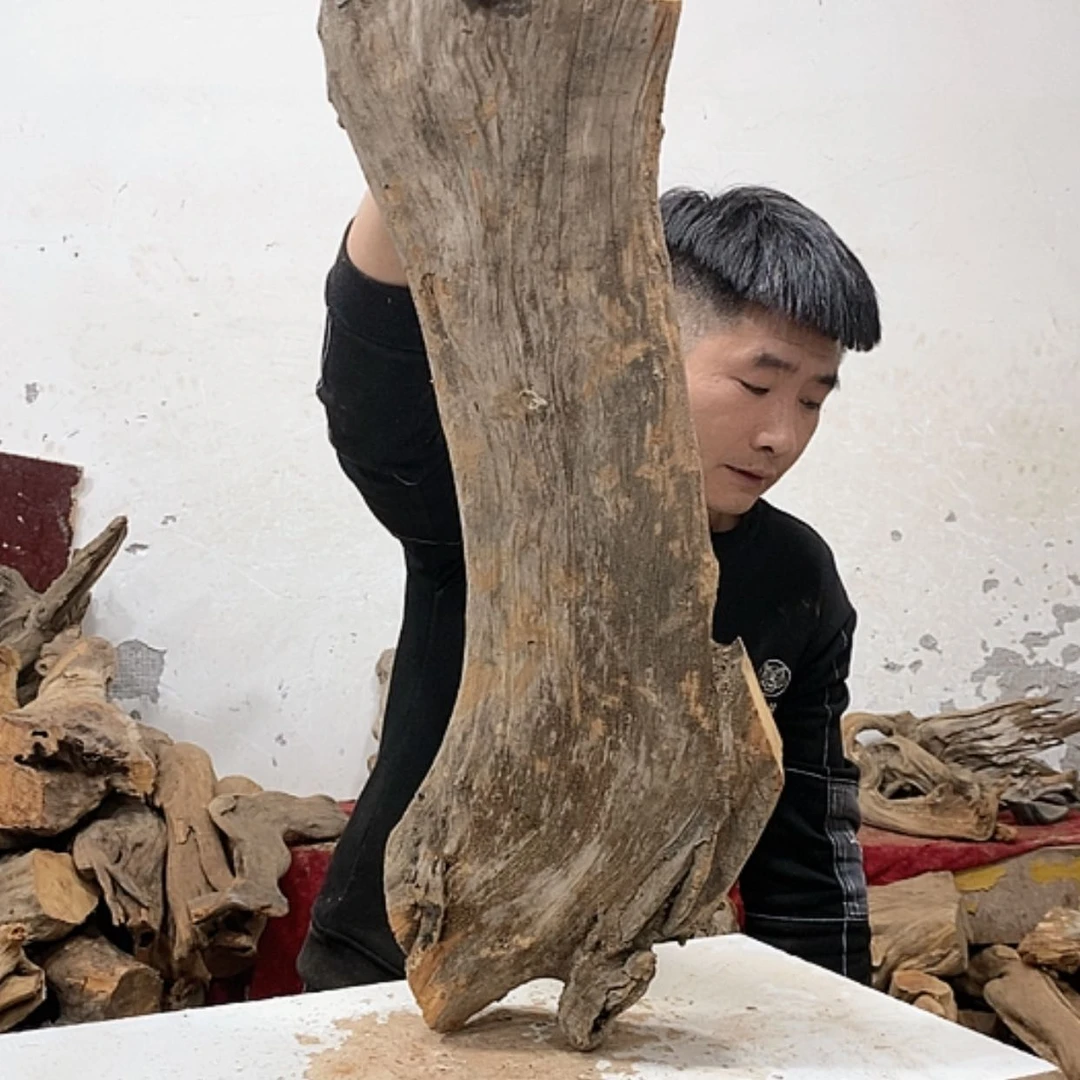 【闪购商品】柏木红**我们都是好孩子