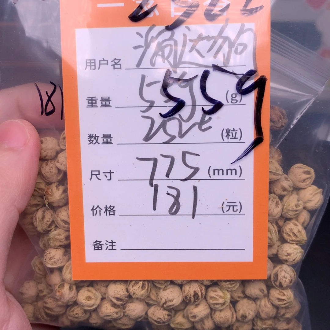 溜***狗柏香籽/百香籽吊坠