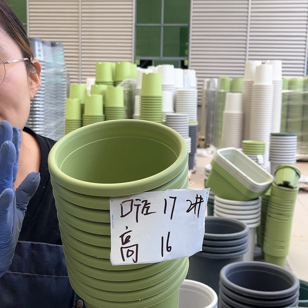 四季盆2#果绿色10个无托