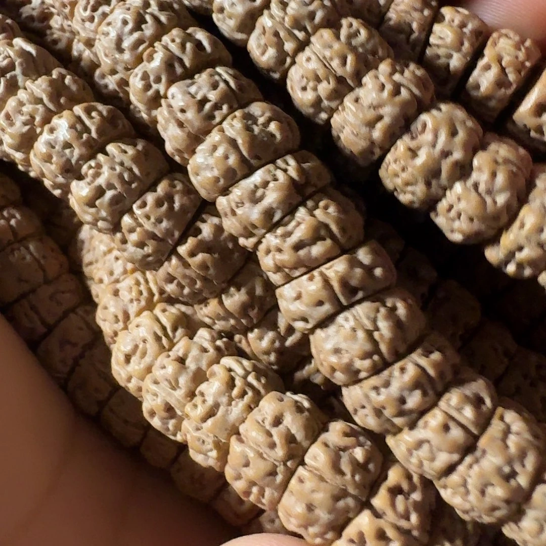 吊坠金刚菩提斜切大肠老树王