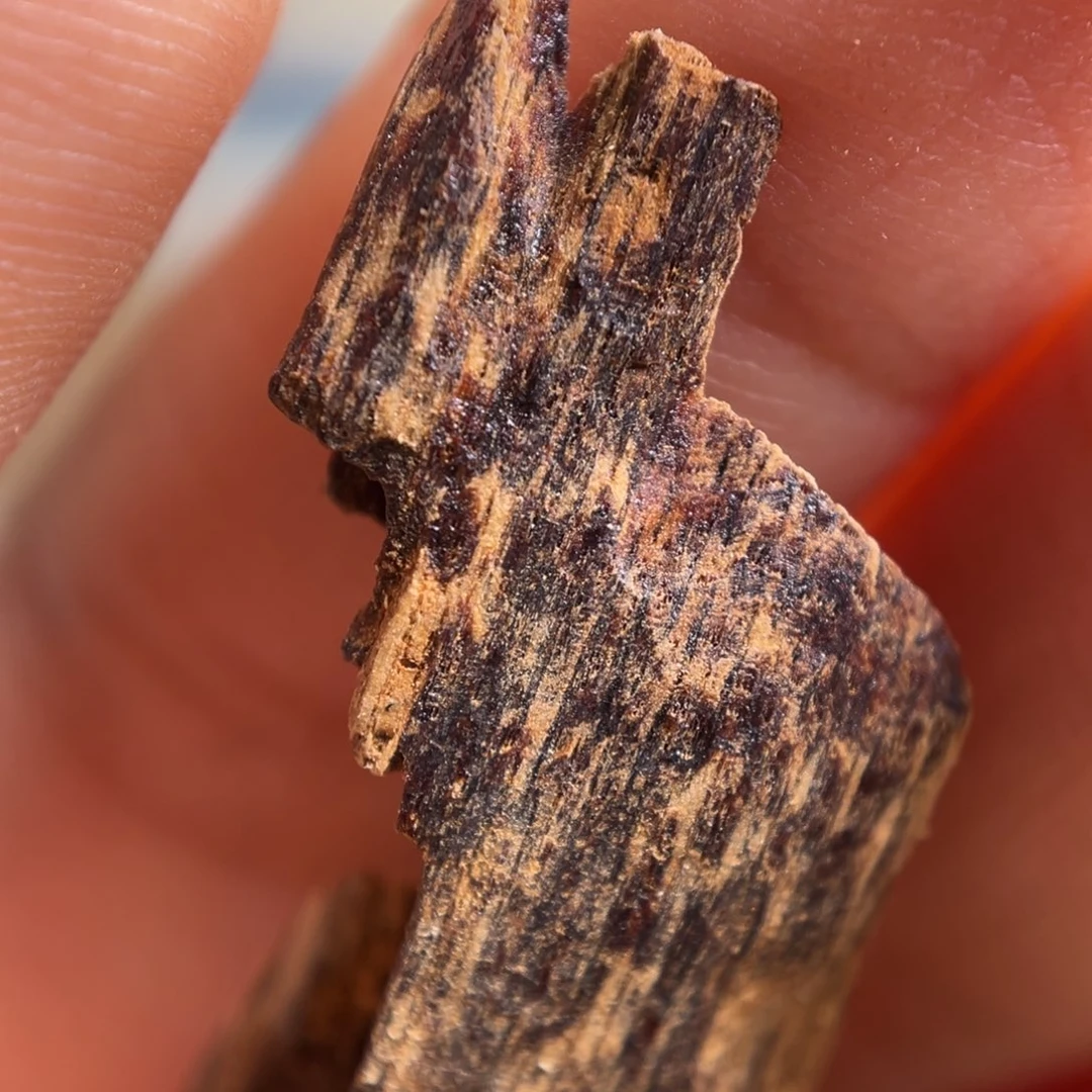 香料海南大山蚁漏香1.8克