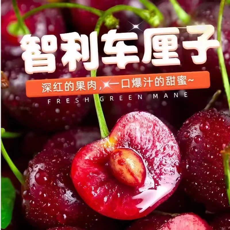 智利车厘子进口海运xl-4JDD原箱装5/10斤